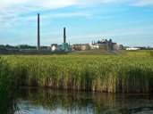 Glencore curtails smelter operations after new fallout complaints 