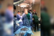 Concreta Civil sexta donación multiorgánica y de tejidos