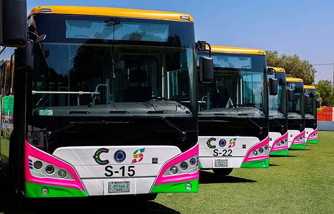 “Aquí Vamos Todos” un éxito las rutas gratuitas
