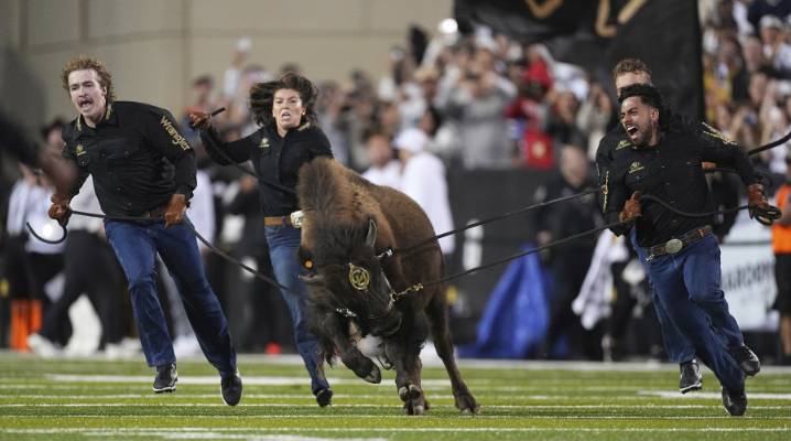 Live animal mascots inspire football fans