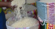 Arroz de la costa “toca techo”, pero las expectativas recaen en el de la selva