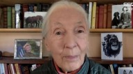 ARCHIVO HORA 25 | Jane Goodall: "Cada animal es un ser individual que siente miedo"