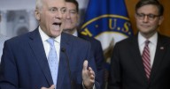 Steve Scalise says he's too focused on own race to endorse in Bill Cassidy's reelection race