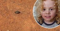 Gus Lamont missing update: 'Done all we can': Footprint ruled out as police scale back search for missing four