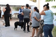 Vacuna Municipio a más de 200 mascotas en colonia Nombre de Dios