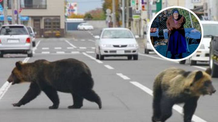 Anciana es atacada por un oso en plena calle; resultó con graves heridas