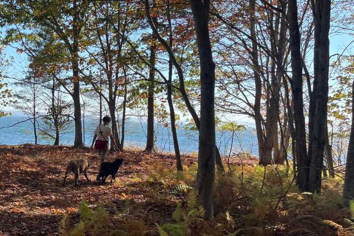 People are flocking to a new hiking trail on Sears Island