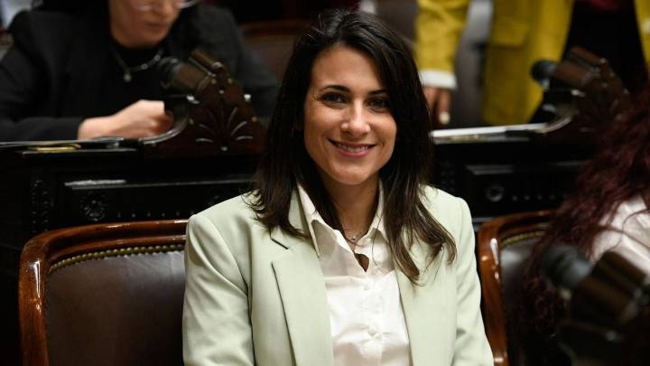 “El Congreso volvió a ponerle un límite a los abusos de poder de Milei”