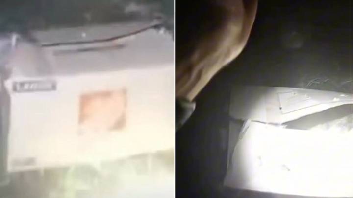 Indiana Woman Saw A Cardboard Box In A Dark Alley, And What She Found Inside Left Her Speechless