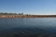 Sheinbaum asegura que México cumplirá con entrega de agua a EU