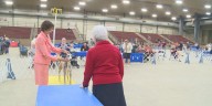 Sioux Empire Kennel Club hosts Fall Dog Show