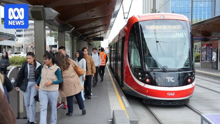 ACT government considers making public transport free for more Canberrans
