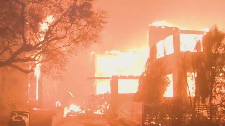 LA releases 70-page document detailing successes, failures of Palisades Fire response