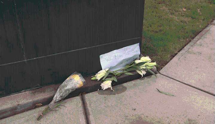 'Kids loved him': Community mourns Westlake crossing guard killed in 'tragic accident'