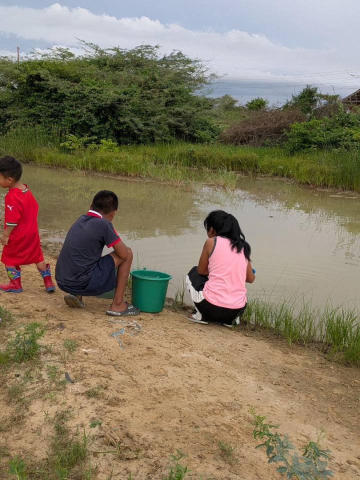 “Niños se enferman por tomar agua de los jagüeyes”: 60 comunidades en Guajira tienen dos meses sin agua