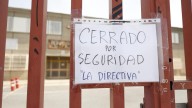 Una plaga de pulgas obliga a cerrar toda la semana la Escuela de Arte y Superior de Diseño de Alicante