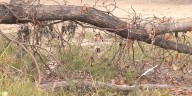 Emergency officials boost staffing, resources during red flag warning, urge vigilance