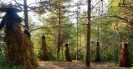 Este pueblo de Aragón fue escenario del último juicio de "brujas": una sentencia con 24 ejecutadas