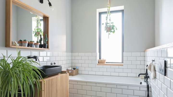 The Low-Maintenance Houseplant That Will Thrive In Your Low