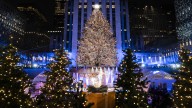 A majestic Norway spruce from upstate New York chosen as Rockefeller Center Christmas Tree