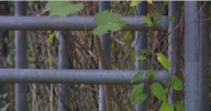10-year-old girl, 9-year-old boy arrested for allegedly assaulting 5