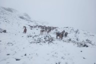 Advierten descenso de la temperatura nocturna en la sierra sur: se esperan hasta