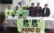 Presentarán cautelar para suspender proyecto Tía María