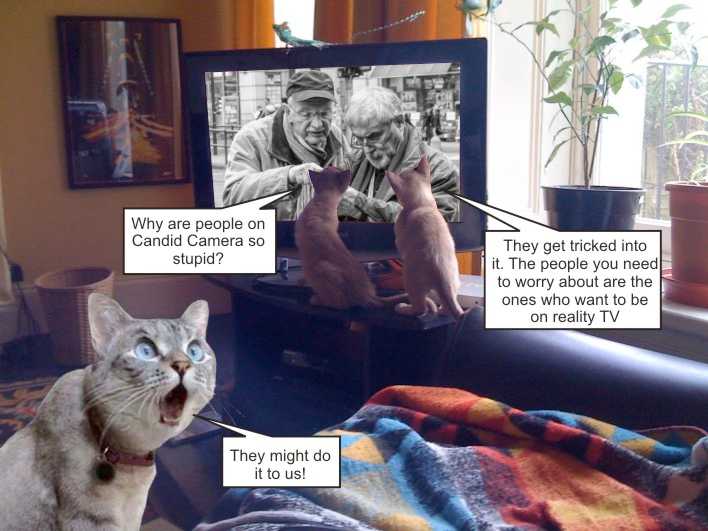 Surreality TV