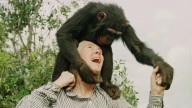Jane Goodall dies aged 91, remembered for pioneering chimpanzee research