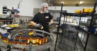 Craft Cannery adds to production capability