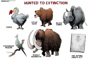 Cartoon: Hunted to extinction