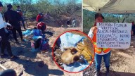 Hallan restos de seis personas durante búsqueda en Magdalena