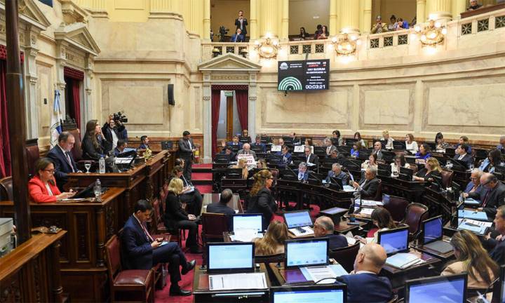 El Senado rechazó los vetos de Milei al financiamiento universitario y pediátrico