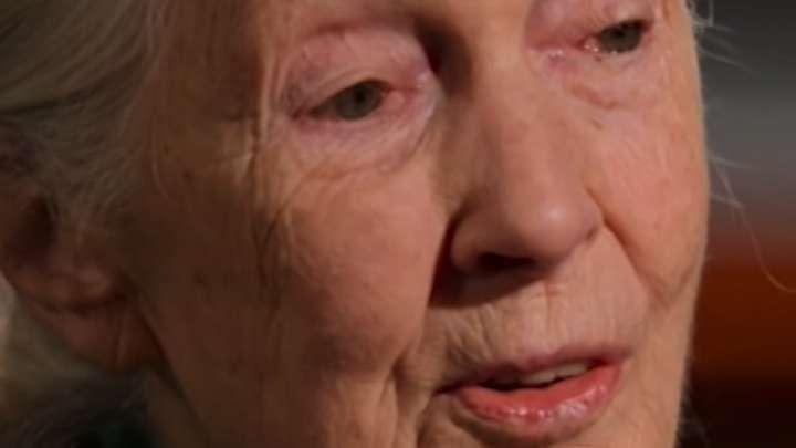 Netflix show reveals Jane Goodall’s ‘Famous Last Words’