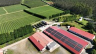 La revolución frutícola que nació del arándano en Cerdido