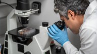 Study finds COVID-19 mRNA vaccine sparks immune response to fight cancer