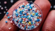 La ingesta de microplásticos podría estar alterando el microbioma humano: "El impacto recuerda al de la depresión"