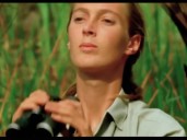 Jane Goodall, primatóloga admirada, muere a los 91 años