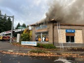 Firefighters rescue fish while battling blaze at Tigard kids dental facility