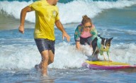 Es pet friendly: la playa más linda para ir con perros en verano