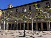 Aragón critica el “oscurantismo” del Gobierno central en el decreto sobre atención a pacientes con ELA
