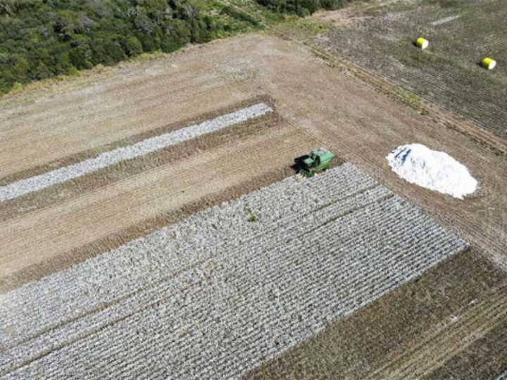 Italar, la textil de Charata en cesación de pagos, es una de una de las 20 empresas convocadas