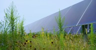 Ohio Supreme Court hears case against approval of state's largest solar project
