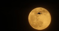 Exactly when the 'Beaver Moon' will be visible in London's night sky