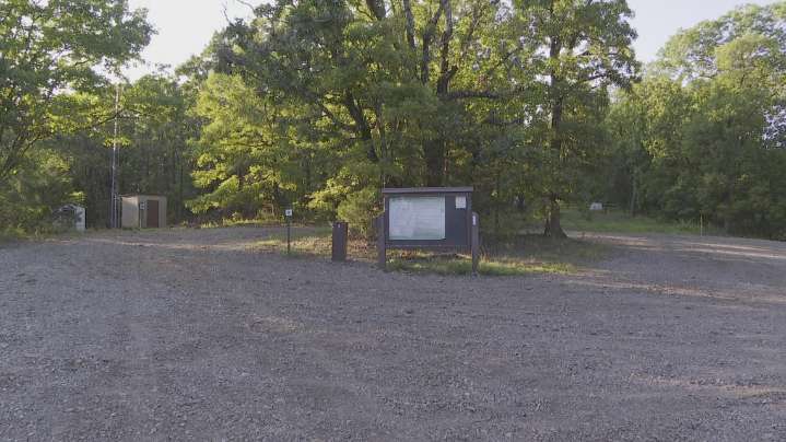 AGFC says bear that killed man in Franklin County was in poor health