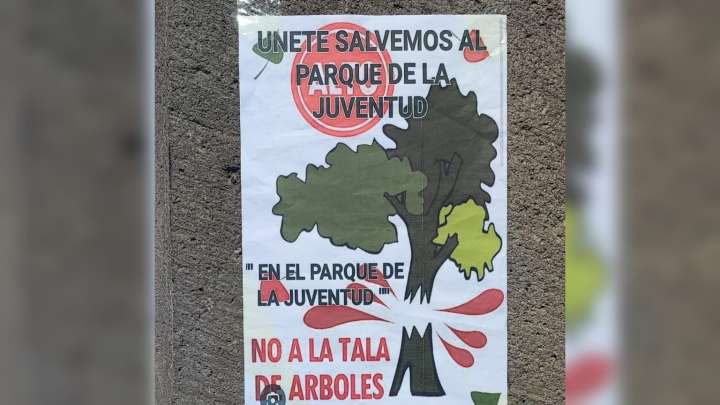 Tlaxcala: ciudadanos protestan por tala de árboles en Parque de la Juventud