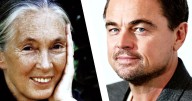 Leonardo DiCaprio Says Jane Goodall Was his Hero