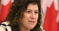 ‘Significant gaps’ in government’s cybersecurity services: auditor general