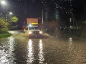 Sin pérdidas en la sierra Gorda tras tormentas