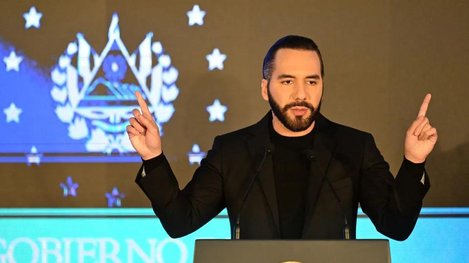 Compromiso Animalista: Nayib Bukele lanza plan nacional para perros y gatos callejeros